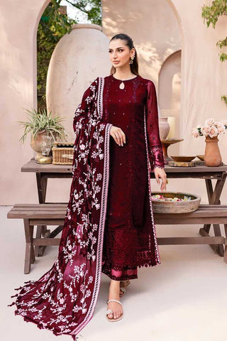 Women Clothes